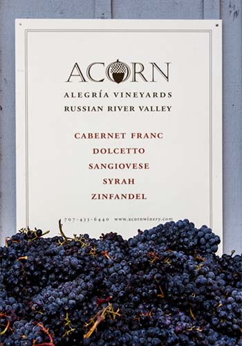 Acorn Winery sign