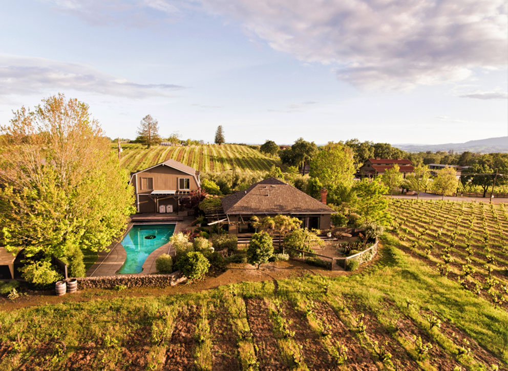 Limerick Lane Estate Home view of pool and vineyard