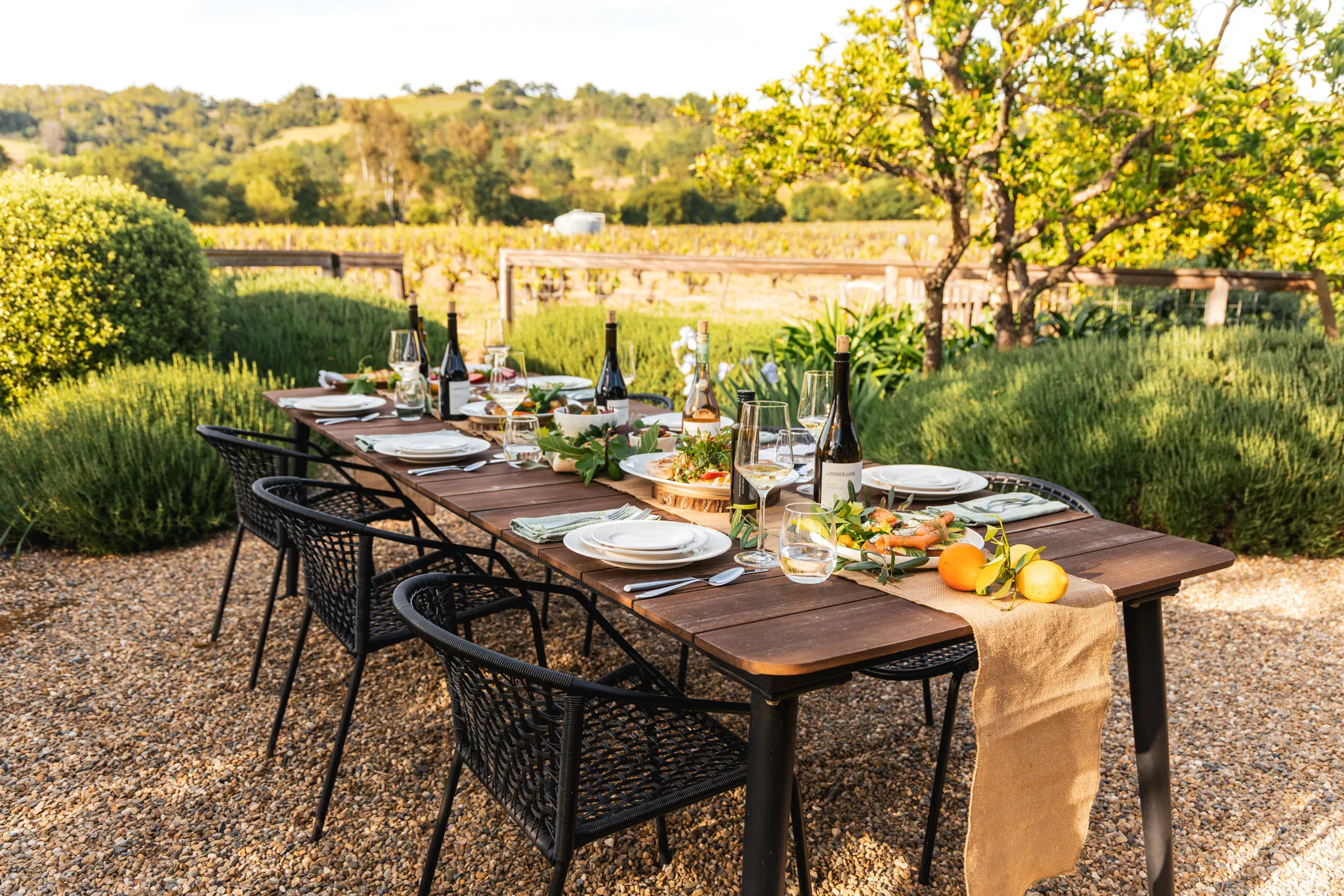 Limerick Lane meal with wine