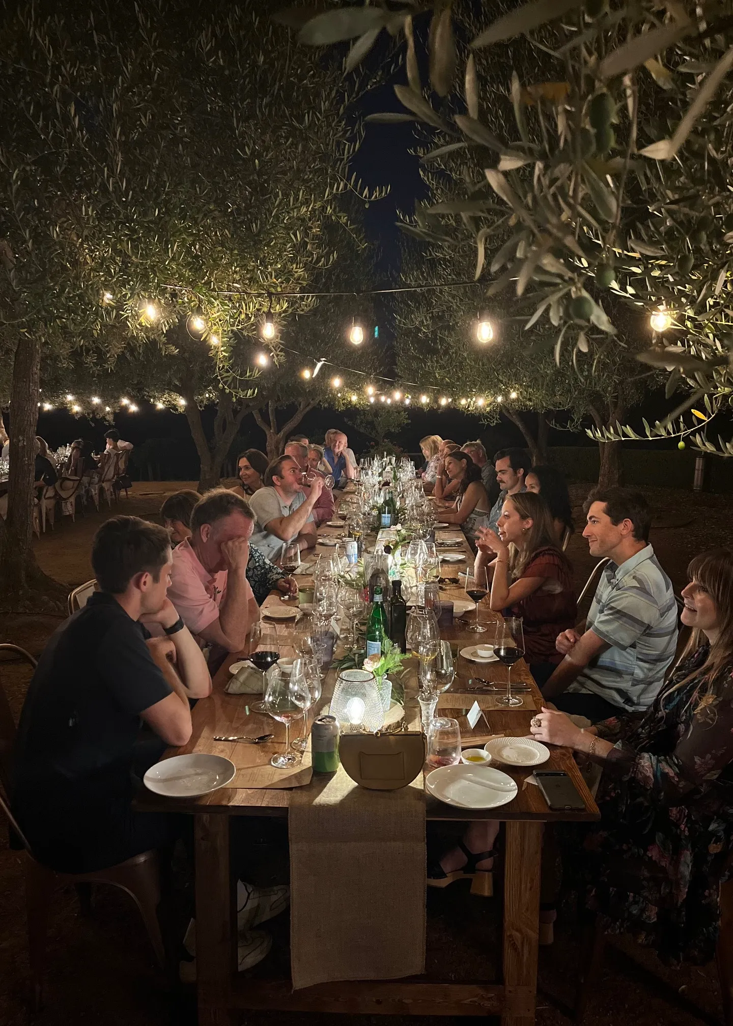 Olive Grove Dinner